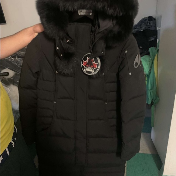 Moose Knuckle for sale !!! - Picture 5 of 8